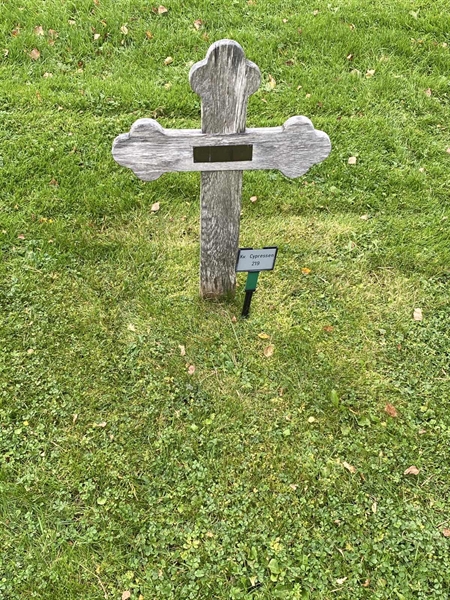 Hautatunnus: 2 C   219