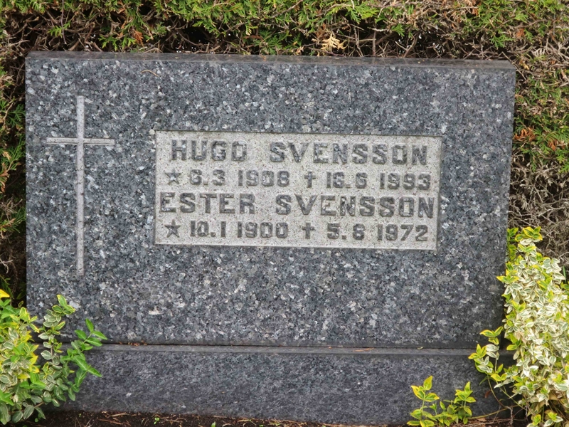 Grave number: HÖB 70A     8