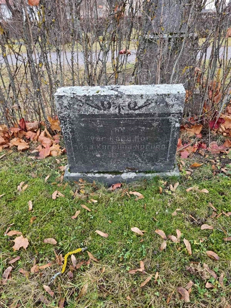 Grave number: 1 20  289