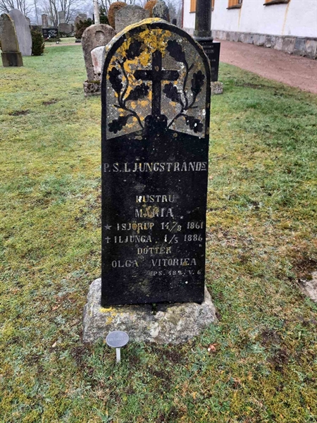 Hautatunnus: HG D    89