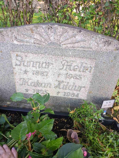 Grave number: 1 18    31-32