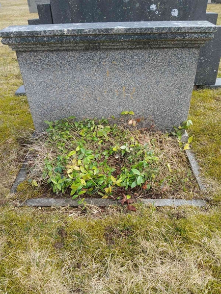 Gravnummer: 2 9  110