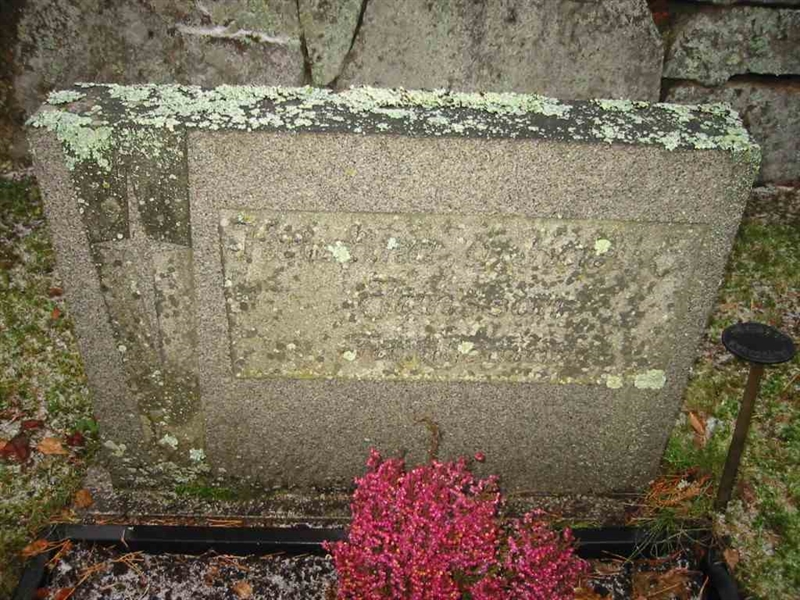 Grave number: KV 6     3-5