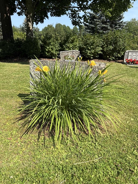 Grave number: 1 B1   118