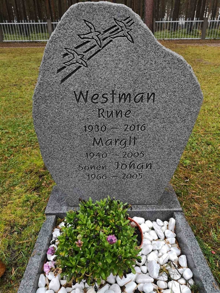 Hautatunnus: VLM 13    90-91