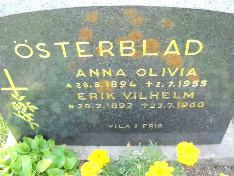 Grave number: 3 MB 17 64-65