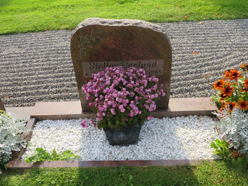 Grave number: 1 01   63