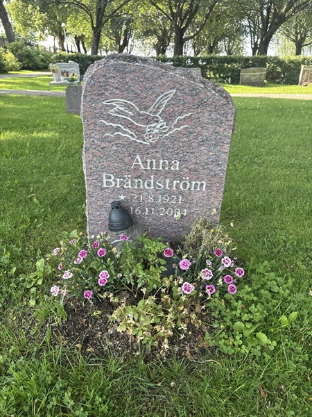 Grave number: H 9   259