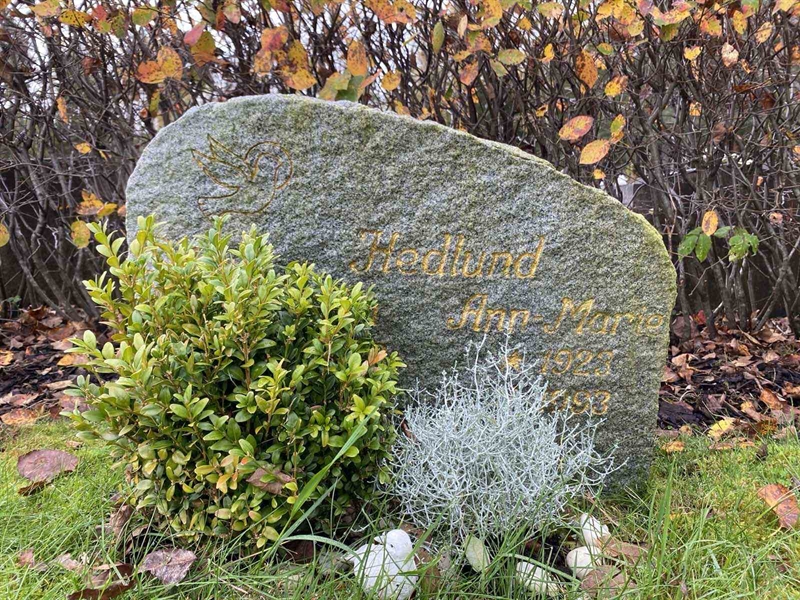 Gravnummer: 1 22    U10