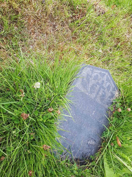 Hautatunnus: GK A 5   295M