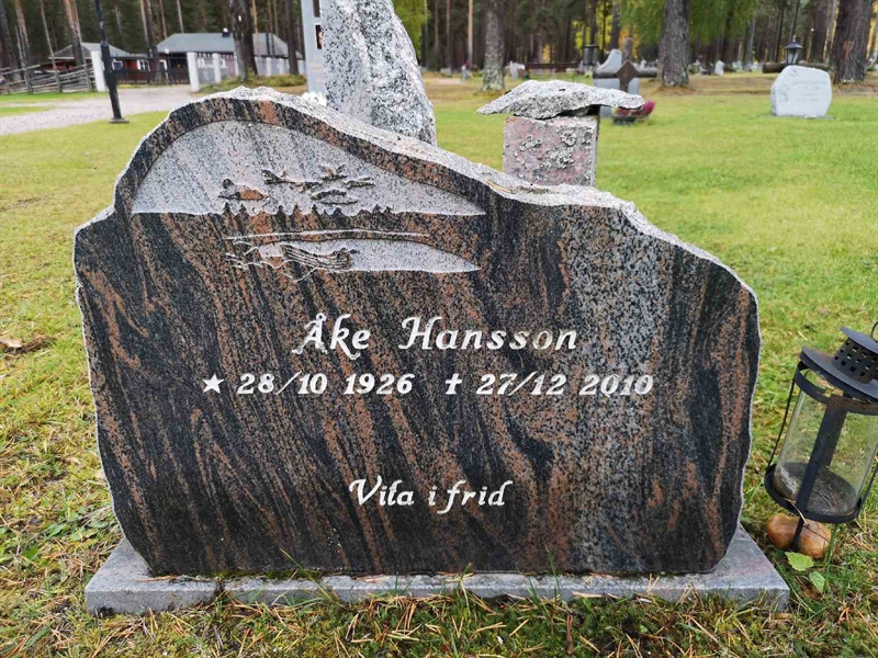 Hautatunnus: VLM 12    33