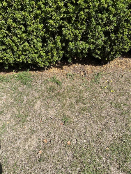 Grave number: NK I:u    59