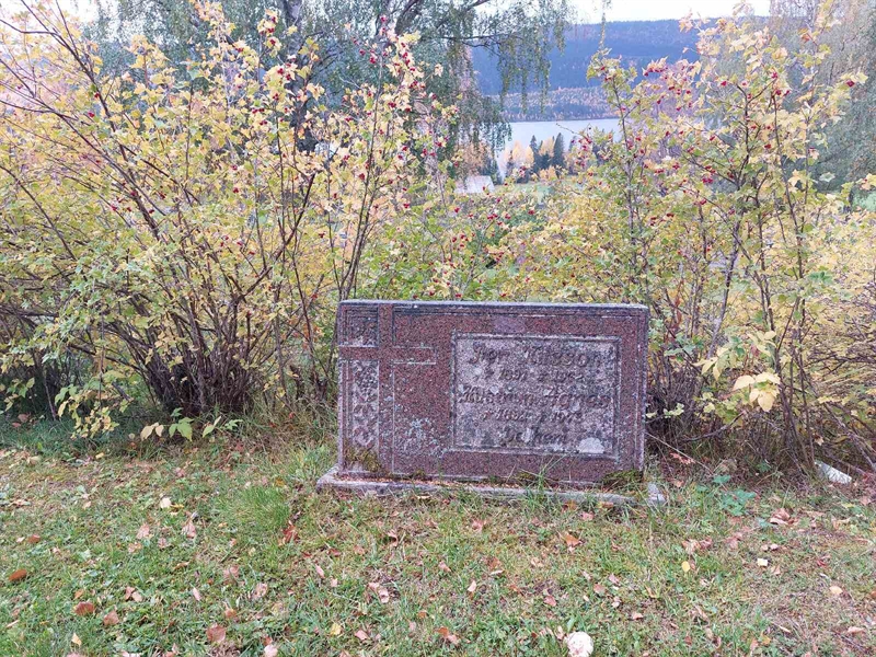 Hautatunnus: NY G 117