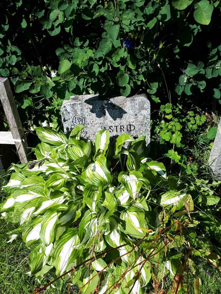 Gravnummer: GK A 5   134V