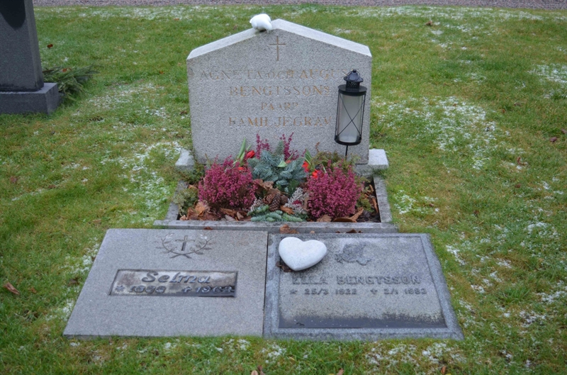 Grave number: TR 3    60