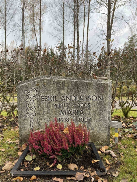 Grave number: 1 29     35