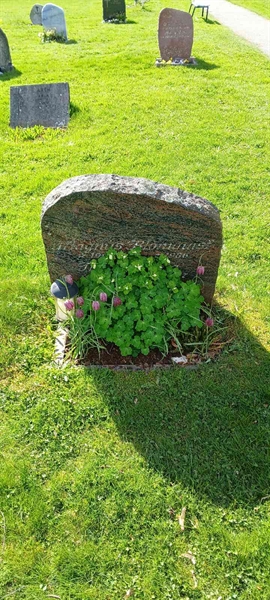Grave number: 3 Nya L    17-18