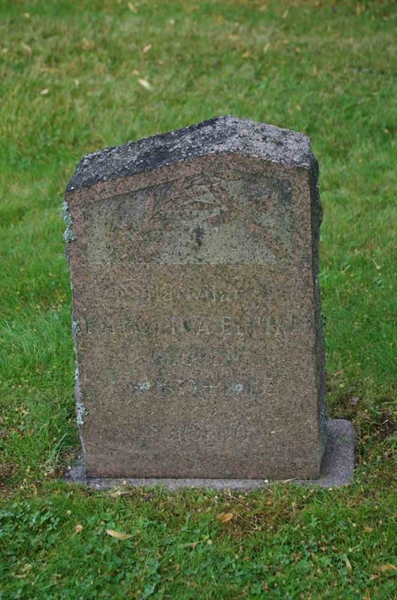 Grave number: 1 09   225