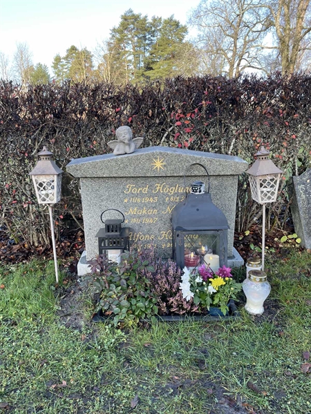 Hautatunnus: 1 Y   443