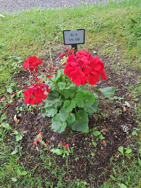 Grave number: Jä 05   129-130