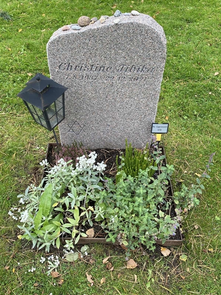 Hautatunnus: 2 C   570