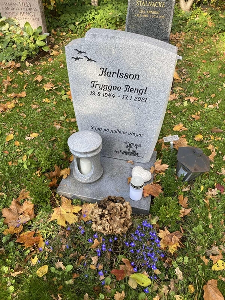 Gravnummer: 1 H   266