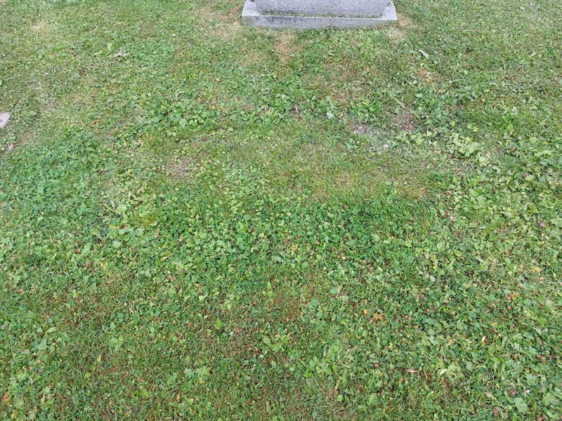 Grave number: FÖ 2   100