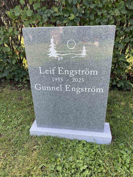 Grave number: 3 20 217
