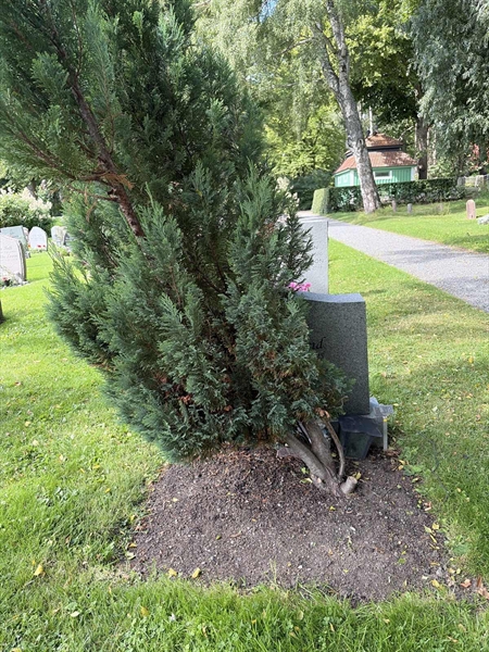 Gravnummer: 1 NA    62