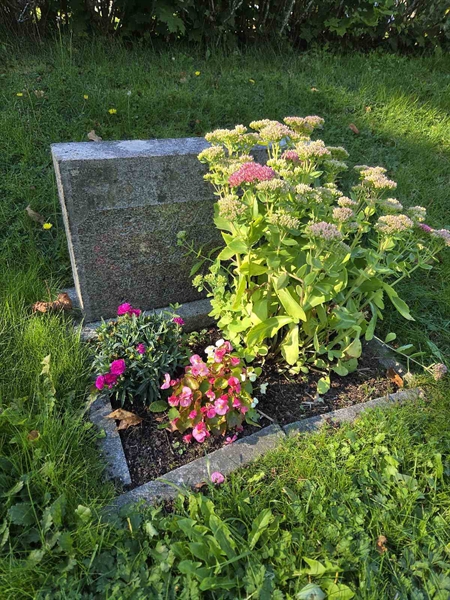 Grave number: T A E   915-916