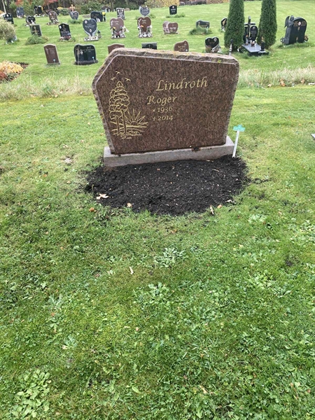 Grave number: 1 3 L1    15