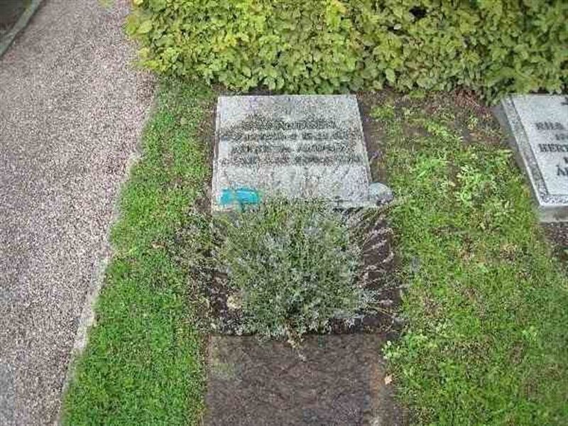 Grave number: NK I:u   315