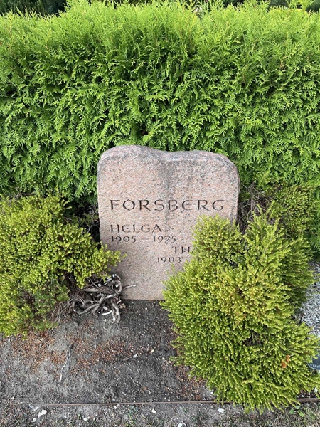 Grave number: NK XVI:u     7