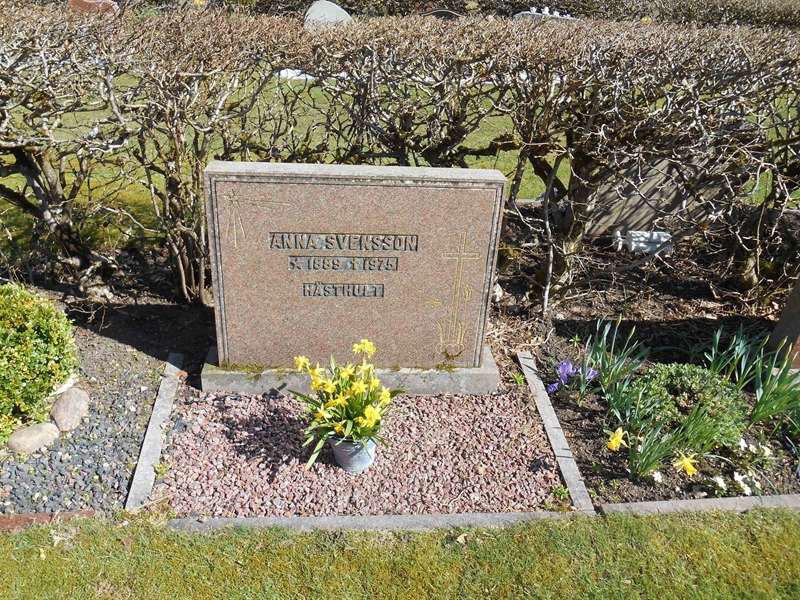 Grave number: Vitt VB1Ö    29