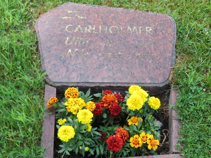 Grave number: 01 Y    16