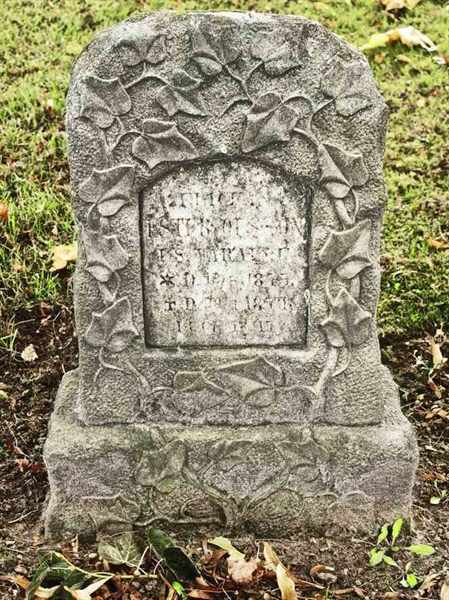 Grave number: 1 7C   193