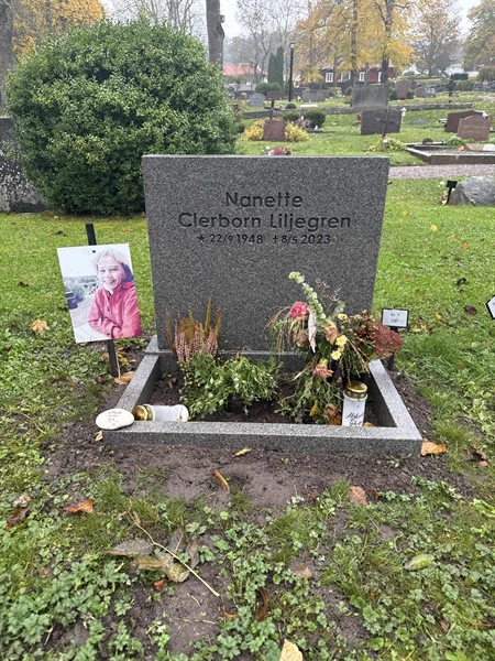 Hautatunnus: SI 7  1287