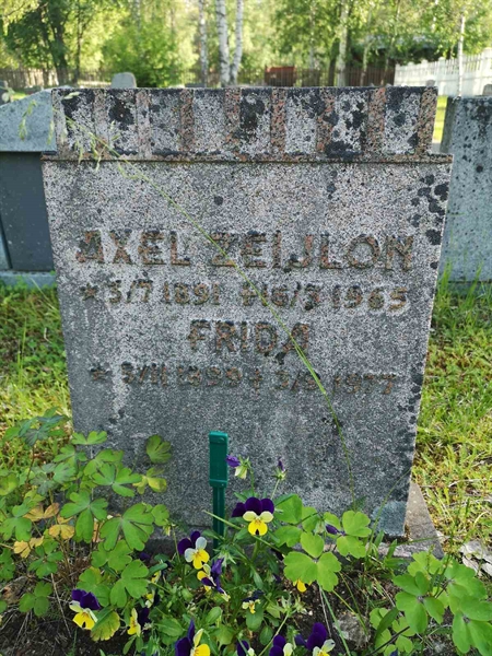 Hautatunnus: NK 02    35