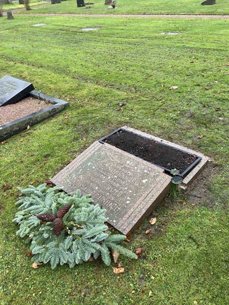 Hautatunnus: BRO 2   138