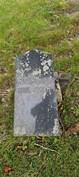 Grave number: M V  308, 309