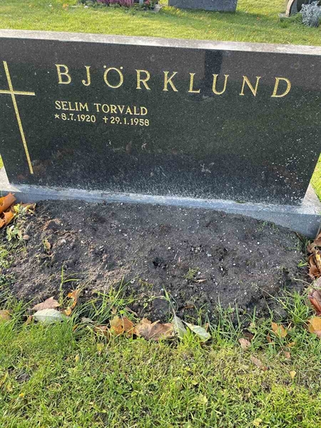 Grave number: N 3 8   504
