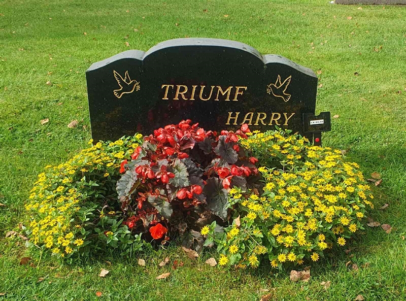 Grave number: 1 X    54-55