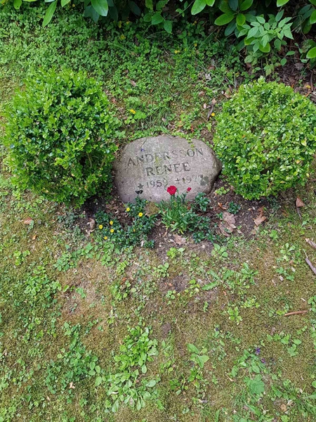 Grave number: 01  2733