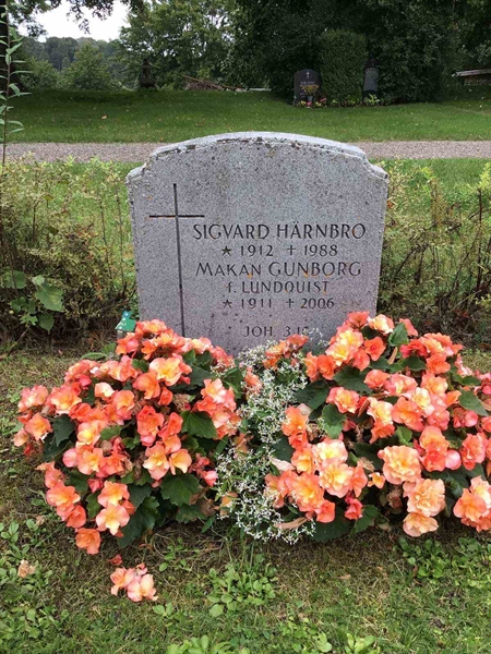 Hautatunnus: Led   265