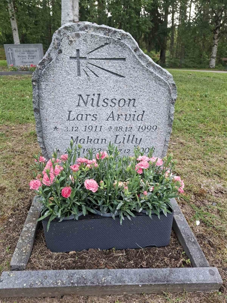 Grave number: 001 4  3241