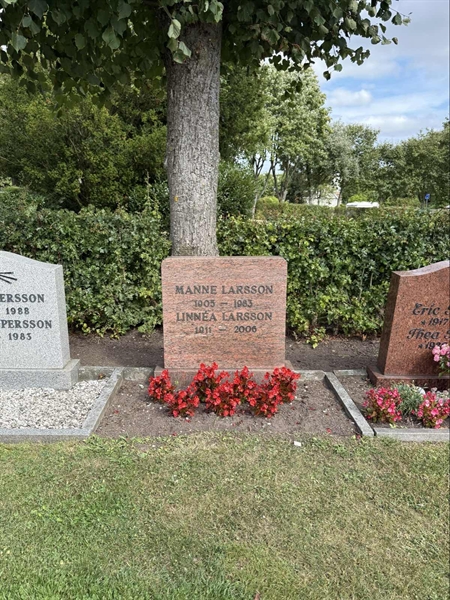 Grave number: ON C   640