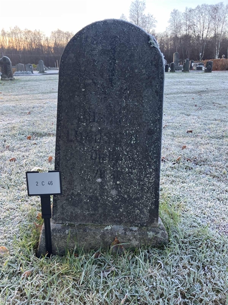 Gravnummer: 2 C    46