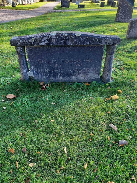 Grave number: 3 05  493