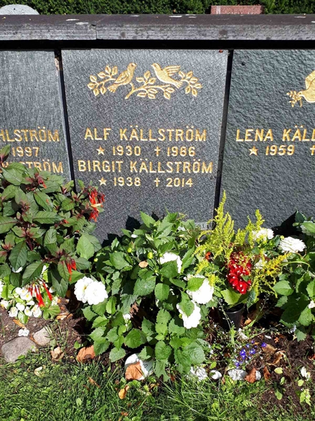 Hautatunnus: GK U 4   238