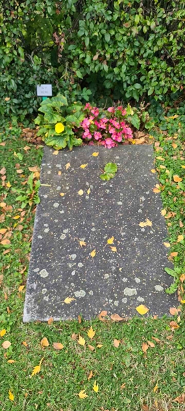 Grave number: M F  162, 163